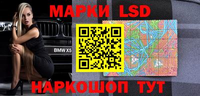 Альфа ПВП Ачхой-Мартан