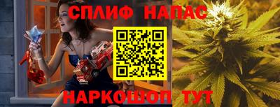 Альфа ПВП Ачхой-Мартан