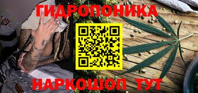гашик Аша