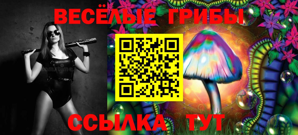 Железногорск  Псилоцибиновые грибы прущие грибы  Вход с VPN  Галлюциногенные грибы прущие грибы 